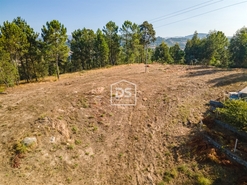 Terreno Rstico T0 - Santa Maria de Sardoura, Castelo de Paiva, Aveiro - Miniatura: 6/12