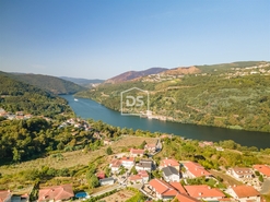 Terreno Rstico T0 - Santa Maria de Sardoura, Castelo de Paiva, Aveiro - Miniatura: 8/12