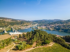 Terreno Rstico T0 - Santa Maria de Sardoura, Castelo de Paiva, Aveiro - Miniatura: 9/12