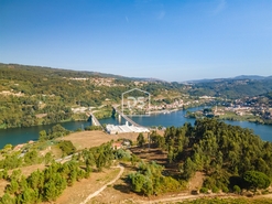 Terreno Rstico T0 - Santa Maria de Sardoura, Castelo de Paiva, Aveiro - Miniatura: 11/12