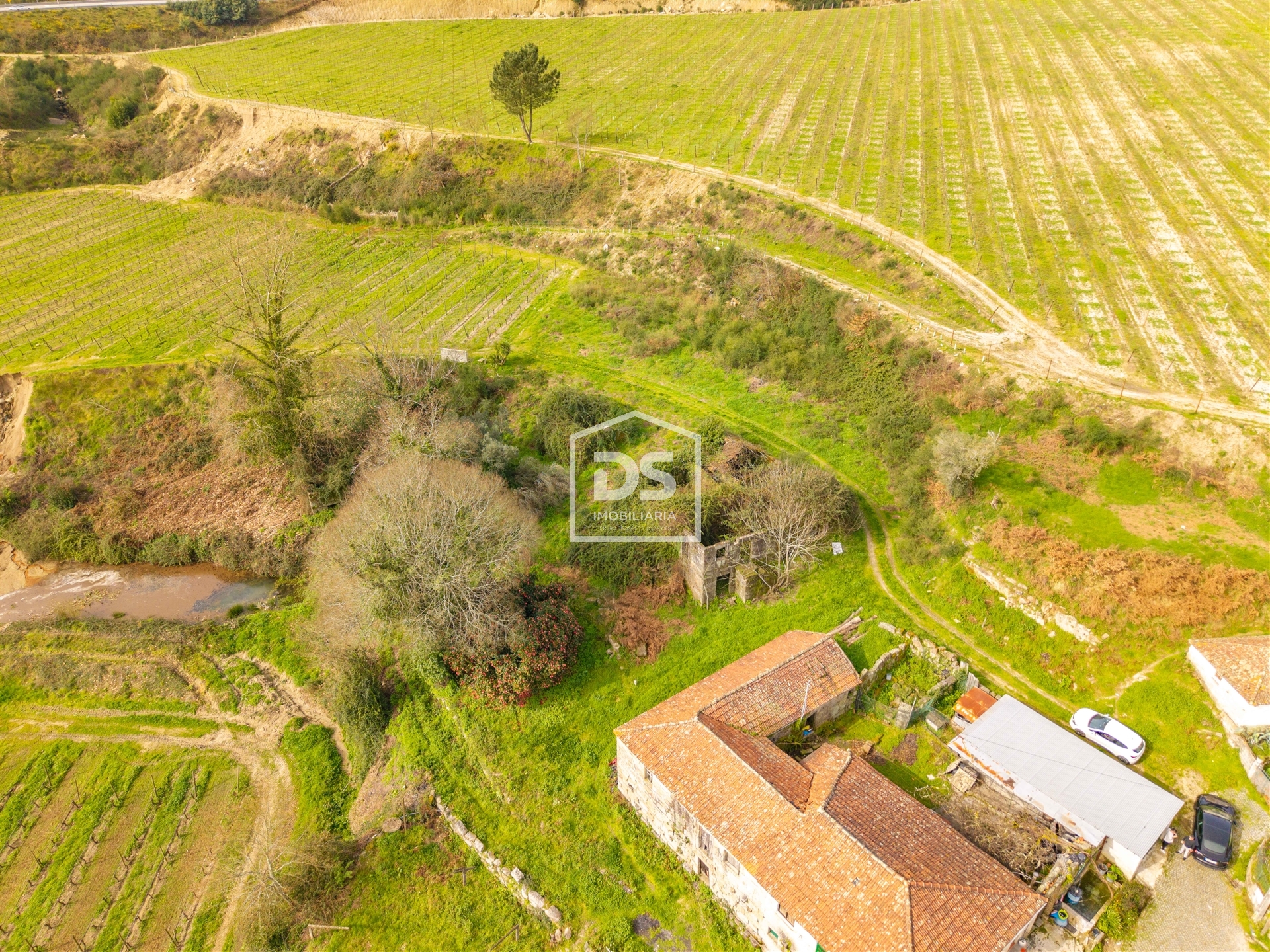 Terreno R�stico T0 - Santa Maria de Sardoura, Castelo de Paiva, Aveiro - Miniatura: 20/24
