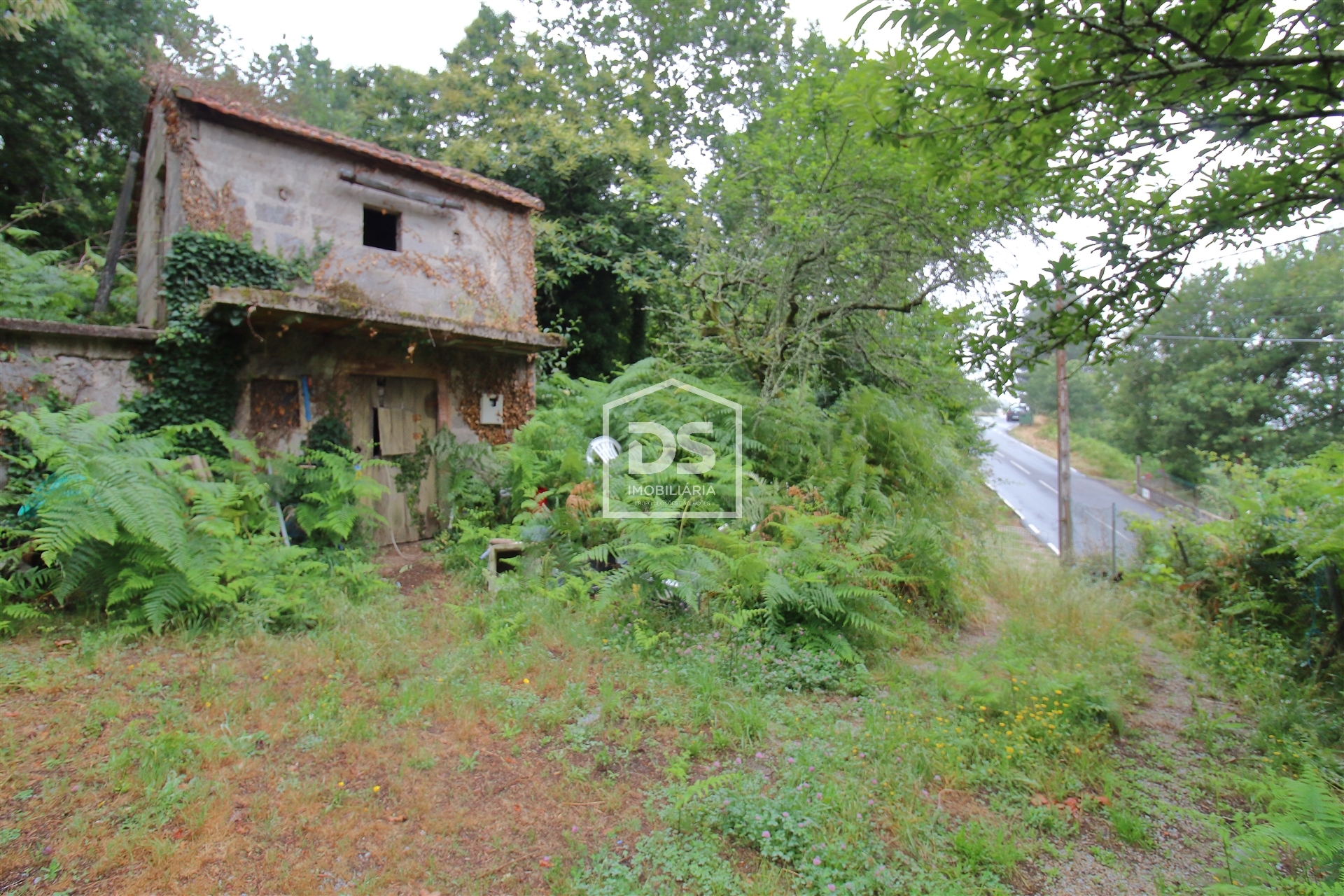 Terreno R�stico T0 - Santa Maria de Sardoura, Castelo de Paiva, Aveiro - Miniatura: 22/24