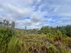 Terreno Rstico T0 - Sobreira, Paredes, Porto - Miniatura: 1/9