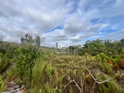 Terreno Rstico T0 - Sobreira, Paredes, Porto - Miniatura: 2/9