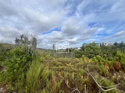 Terreno Rstico T0 - Sobreira, Paredes, Porto - Miniatura: 4/9