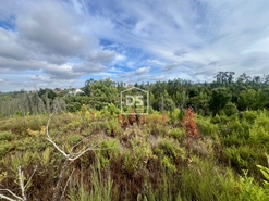 Terreno Rstico T0 - Sobreira, Paredes, Porto - Miniatura: 5/9