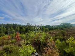 Terreno Rstico T0 - Sobreira, Paredes, Porto - Miniatura: 6/9