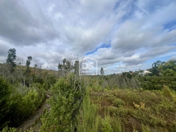 Terreno Rstico T0 - Sobreira, Paredes, Porto - Miniatura: 7/9