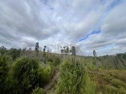 Terreno Rstico T0 - Sobreira, Paredes, Porto - Miniatura: 8/9