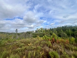 Terreno Rstico T0 - Sobreira, Paredes, Porto - Miniatura: 9/9