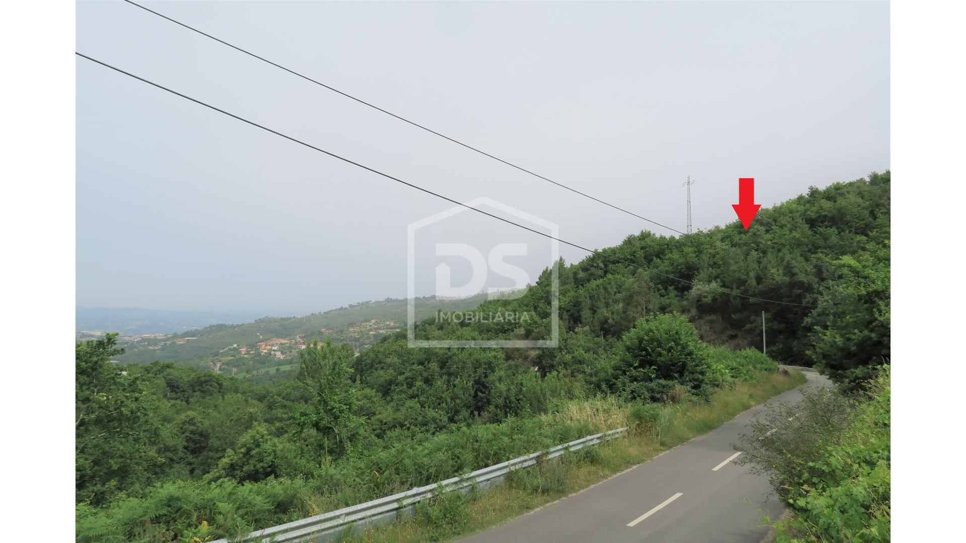 Terreno R�stico T0 - S�o Martinho de Sardoura, Castelo de Paiva, Aveiro - Miniatura: 19/24