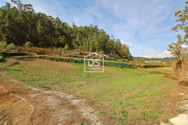 Terreno Rstico T0 - Souselo, Cinfes, Viseu - Imagem grande