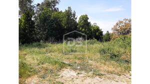 Terreno Rstico T0 - Bustelo, Penafiel, Porto - Miniatura: 4/24