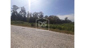 Terreno Rstico T0 - Bustelo, Penafiel, Porto - Miniatura: 10/24