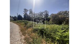 Terreno Rstico T0 - Bustelo, Penafiel, Porto - Miniatura: 12/24