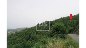 Terreno Rstico T0 - Soalhes, Marco de Canaveses, Porto - Miniatura: 4/5