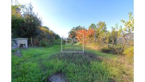 Quinta T2 - Fornos, Castelo de Paiva, Aveiro - Miniatura: 18/24