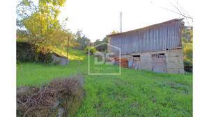 Quinta T2 - Fornos, Castelo de Paiva, Aveiro - Miniatura: 19/24