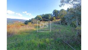 Quinta T2 - Fornos, Castelo de Paiva, Aveiro - Miniatura: 20/24