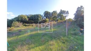 Quinta T2 - Fornos, Castelo de Paiva, Aveiro - Miniatura: 22/24