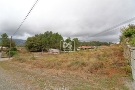 Terreno Rstico T0 - Cabea Santa, Penafiel, Porto - Miniatura: 1/13