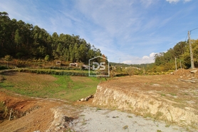 Terreno Rstico T0 - Souselo, Cinfes, Viseu - Miniatura: 1/13