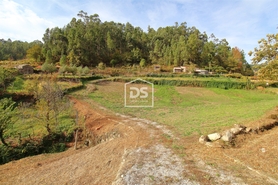 Terreno Rstico T0 - Souselo, Cinfes, Viseu - Miniatura: 2/13