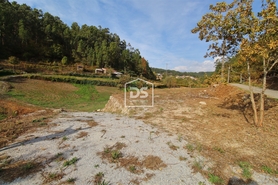 Terreno Rstico T0 - Souselo, Cinfes, Viseu - Miniatura: 5/13