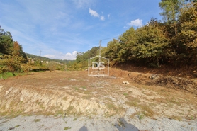 Terreno Rstico T0 - Souselo, Cinfes, Viseu - Miniatura: 6/13