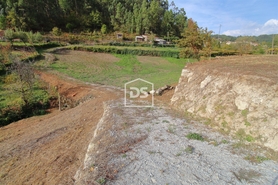 Terreno Rstico T0 - Souselo, Cinfes, Viseu - Miniatura: 8/13