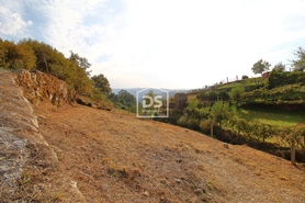 Terreno Rstico T0 - Souselo, Cinfes, Viseu - Miniatura: 9/13