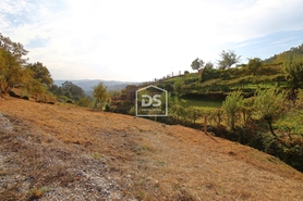 Terreno Rstico T0 - Souselo, Cinfes, Viseu - Miniatura: 10/13