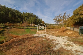 Terreno Rstico T0 - Souselo, Cinfes, Viseu - Miniatura: 12/13