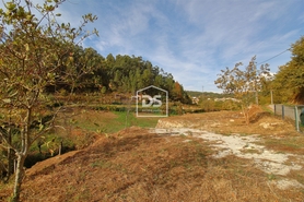 Terreno Rstico T0 - Souselo, Cinfes, Viseu - Miniatura: 13/13