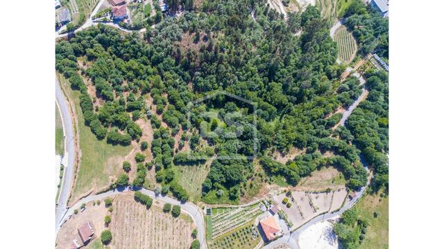 Moradia T3 - TERMAS DE S�O VICENTE, Penafiel, Porto - Imagem grande