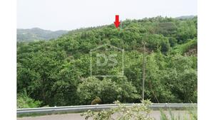 Terreno Rstico T0 - Soalhes, Marco de Canaveses, Porto - Miniatura: 6/7