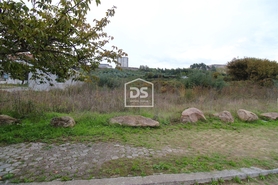 Terreno Rstico T0 - Penafiel, Penafiel, Porto - Miniatura: 7/14