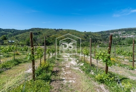 Terreno Rstico T0 - Gove, Baio, Porto