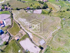 Terreno Rstico T0 - Gove, Baio, Porto - Miniatura: 7/21