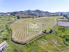 Terreno Rstico T0 - Gove, Baio, Porto - Miniatura: 9/21