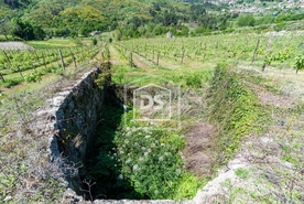 Terreno Rstico T0 - Gove, Baio, Porto - Miniatura: 13/21