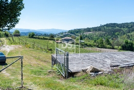 Terreno Rstico T0 - Gove, Baio, Porto - Miniatura: 16/21