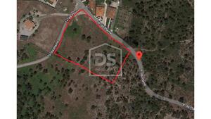 Terreno Rstico T0 - Vila Boa de Quires, Marco de Canaveses, Porto - Miniatura: 6/11