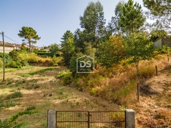 Terreno Rstico T0 - Mancelos, Amarante, Porto - Miniatura: 12/19