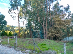 Terreno Rstico T0 - Pao de Sousa, Penafiel, Porto - Miniatura: 1/15