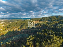 Terreno Rstico T0 - Pao de Sousa, Penafiel, Porto - Miniatura: 7/15