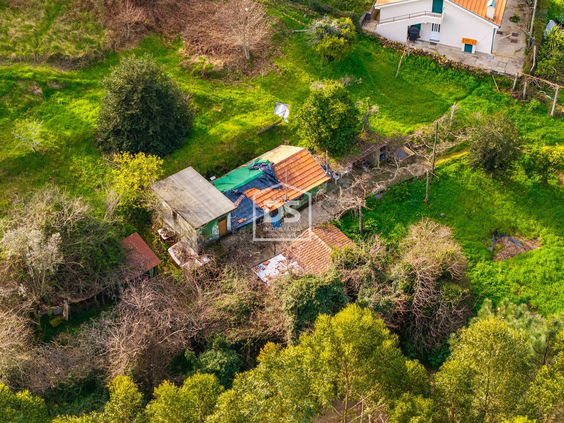 Terreno R�stico T0 - Real, Castelo de Paiva, Aveiro - Miniatura: 12/24