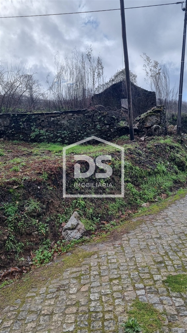 Terreno R�stico T0 - Real, Castelo de Paiva, Aveiro - Miniatura: 23/24