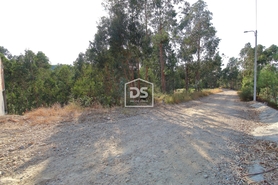 Terreno Rstico T0 - Lagares, Penafiel, Porto