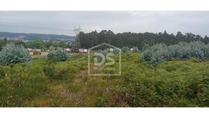 Terreno Rstico T0 - Paos de Ferreira, Paos de Ferreira, Porto - Miniatura: 10/17